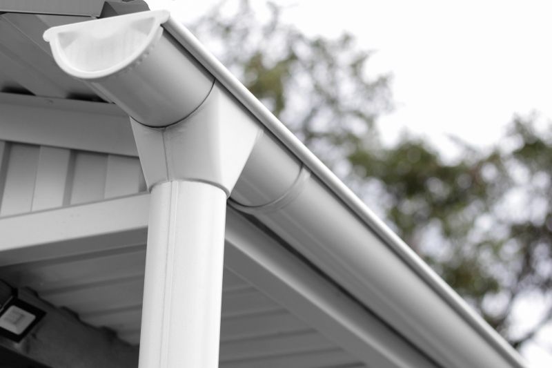 Gutter Service detail